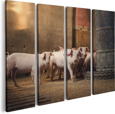 Artaza Canvas Schilderij Vierluik Varkens op een Boerderij Stal - 80x60 - Foto Op Canvas - Canvas Print