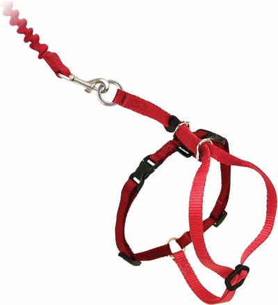 Petsafe Easy Walk Cat Harness met Bungee Leash - Tuigje voor het uitlaten van je kat - Rood of Blauw - S/M/L - Kleur: Rood, Maat: Large 33-46 cm