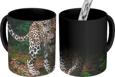 Magische Mok - Foto op Warmte Mokken - Koffiemok - Wilde dieren - Luipaard - Jungle - Natuur - Magic Mok - Beker - 350 ML - Theemok