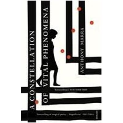 A Constellation Of Vital Phenomena - Anthony Marra