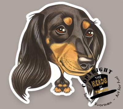 Magneet Hond Langharige Teckel