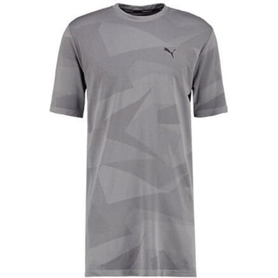 Puma Evo Knit Image Tee Grafisch Grijs Heren Lang Stijl T-shirt Top 572454 04 A6D