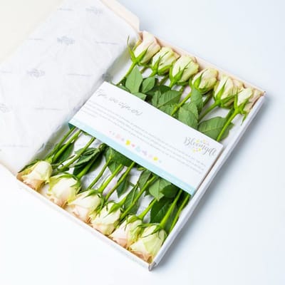 BloomKado | Brievenbus bloemen | Roze Rozen | 12 stelen | Vers van de Kweker | Origineel cadeau