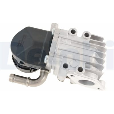 EGR-klep DELPHI EG10643-12B1