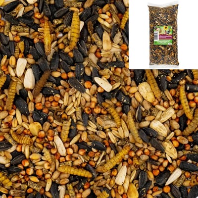 Dailygoods- Vogelvoermengsel met insecten - Soldatenvlieglarven - Meelwormpellets - Hoogwaardige ingrediënten - Geschikt voor het hele jaar - Hoge kwaliteit - Vogelsnoep