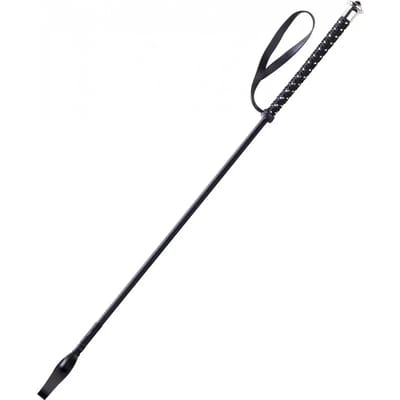Paardrijzweep Whip & Go Points