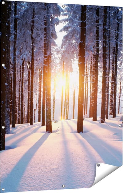 Gards Tuinposter Bos met Sneeuw tijdens de Zonsondergang - 90x120 cm - Tuindoek - Tuindecoratie - Wanddecoratie buiten - Tuinschilderij