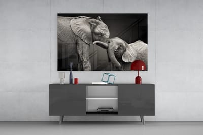 Glasschilderij Olifant en Jong – Premium Dieren Wanddecoratie – Gehard Glas 4 mm - 110 x 70 cm