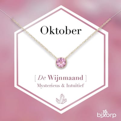 Bixorp Geboortesteen Ketting Oktober - 18k Goud Verguld Roestvrij Staal met Zirkonia Hanger - Stainless Steel - Rozenkwarts