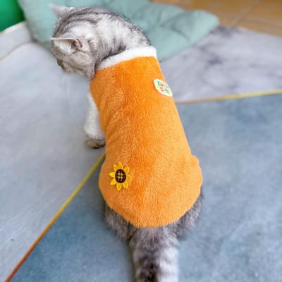 Huisdier Hond Lamsvacht Trui Kattenkleding Schattig Warm Winter Teddybeer Kleine Hond Herfst Winter Tanktop Hondenkleding voor Kleine Honden M