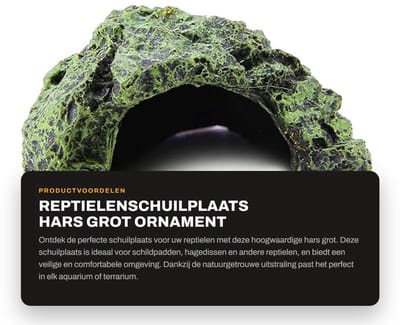 Dailygoods- Reptielenschuilplaats Hars - Schuilgrot - Habitat - Ornament - Multifunctioneel Platform - Natuurlijke Simulatie - Reptielenhuis