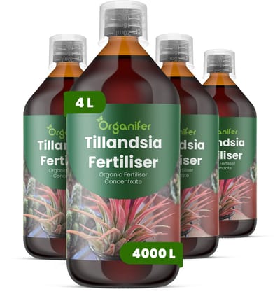 Vloeibare Meststof Voor Tillandsia 4X1 L Voor 4000 L - Npk 2-1-8 - Versterkt De Bladstructuur En Stevigheid - Bevordert Compacte - Evenwichtige Groei - Geschikt Voor Grondloze En Opgehangen Planten - Ondersteunt Langdurige Vitaliteit - Organifer