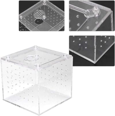 Reptielenkweekbox van acryl, doorzichtige kijkbox voor spinnen, krekels, slakken, heremietkreeften, vogelspinnen