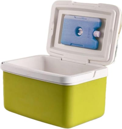 Koelbox - Koeltas thermobak - Picknicken en kamperen - Lekvrije isolatie - 6L - Niet gespecificeerd