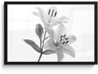 Poster in lijst - Fotolijst 60x40 cm - Posters - Lelies - Elegant - Zwart - Wit - Posterlijst zwart - Decoratie - Wanddecoratie woonkamer - Muurdecoratie slaapkamer