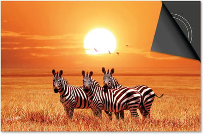 Inductie beschermer 60x60 - afdekplaat inductie mat - Dietrix Kookplaat beschermer - Exclusief - Dieren - Zebras zonsondergang Afrika