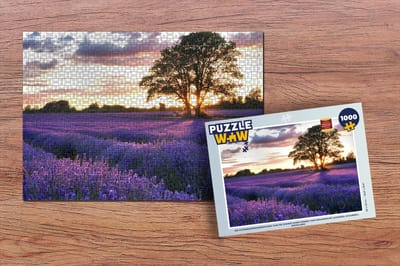 Puzzel De avondzonsondergang van de zomer over gebied van organische lavendel in Surrey, Engeland. - Legpuzzel - Puzzel 1000 stukjes volwassenen