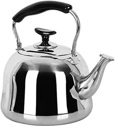 Waterkoker Met Fluitje - Theepot RVS - Thee Zetten - Anti-scald Handvat - 2L Capaciteit - Zilverkleurig