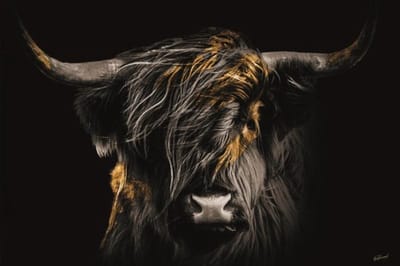 Glasschilderij - schotse hooglander - gouden accenten - 120x80cm