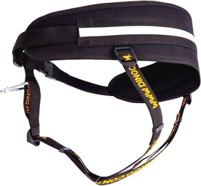 Multifunctionele Canicross en Joggingriem voor Honden - Perfect voor Actieve Hondenliefhebbers
