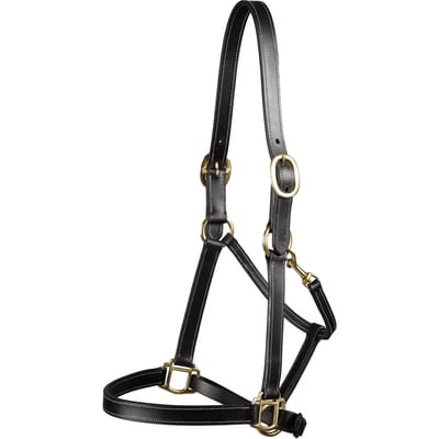 Halster voor paarden Premier Equine