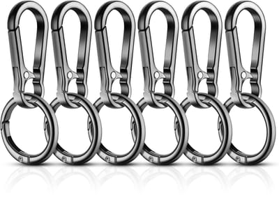 flintronic 6 stuks karabijnhaken, sleutelhanger, metaal, afneembare karabijnhaak, kleine karabijnhaak voor autosleutels, rugzak, camping, reizen
