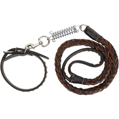 Hondenuitlaatlijn met Halsband Huisdier Anti-Verdwaal Lijn Halsband Set voor Grote Middelgrote Honden(Zwart ) zwart