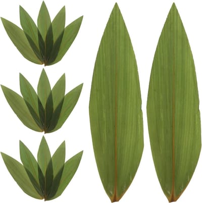 Zongzi 100 vellen voor sushi, bananenblad decoraties voor servies feestjes - kookaccessoires