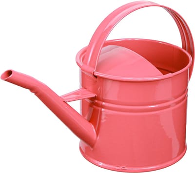 Decoratieve metalen gieter, roze bloempot, 1,25 liter, voor binnen/bui