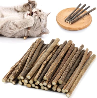 Dailygoods- Matatabi Sticks 35 stuks - Kauwsticks Kat - Natuurlijk en Veilig - Tandverzorging - Preventie Slechte Adem - Duurzaam Hout