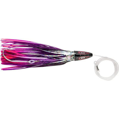 Lok Williamson Hspeed Sailfish