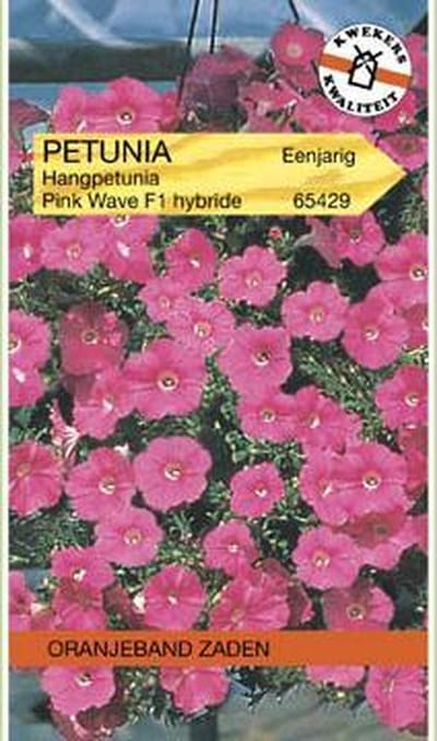 Oranjebandzaden -  Petunia Pink Wave F1, Fortunia serie