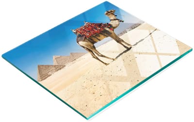 Stijlvol en duurzaam glazen bord met print van een kameel in Caïro, 60x52 cm