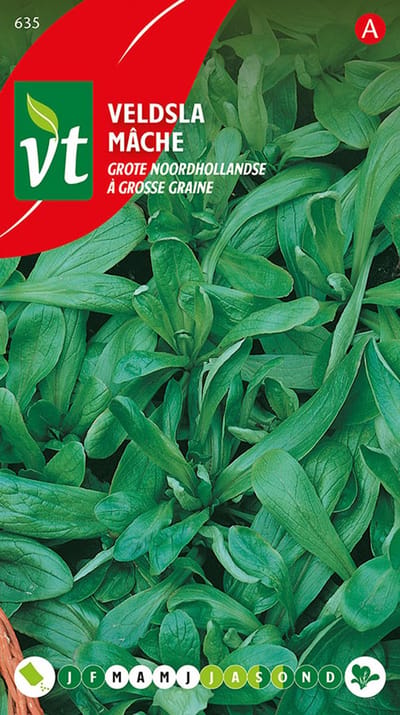 Veldsla Grote Noordhollandse - Rijk aan Mineralen en Vitaminen