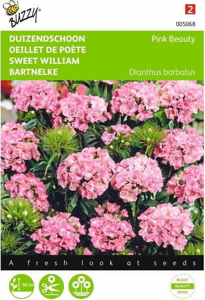 2 stuks Dianthus, Duizenschoon Pink Beauty