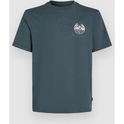 O'Neill Back Print T-Shirt grijs