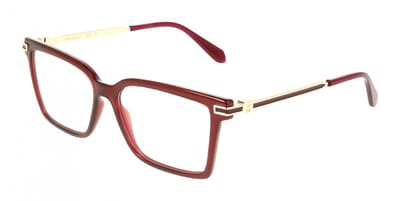 Ferragamo SF3039 Transparent burgundy 54/15/140 WOMAN Brilmonturen