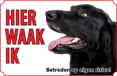 Bord - Hond-Hovawart