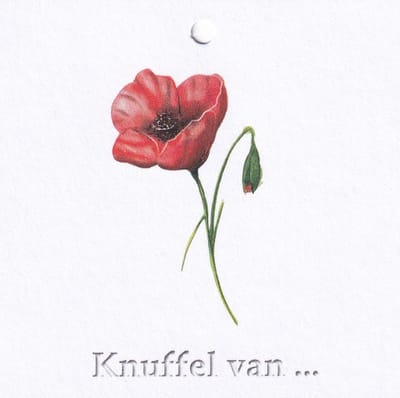 Bloemenkaartjes - 25 Stuks - Mini Kaartjes - 7 x 7 cm - Bloemist - Kadootjes - Knuffel van ... - JK-159