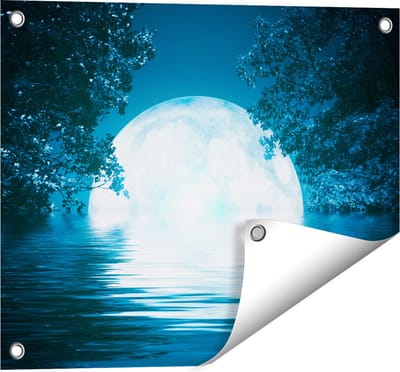Gards Tuinposter Volle Maan in het Water - 50x40 cm - Tuindoek - Tuindecoratie - Wanddecoratie buiten - Tuinschilderij