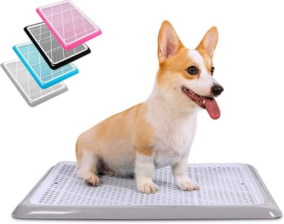 Honden Potty Tray - Puppy Plasmat Houder - Zindelijkheidstraining Hond - Snel Drainagesysteem - 63.5x50.8x3.05 cm - Grijs