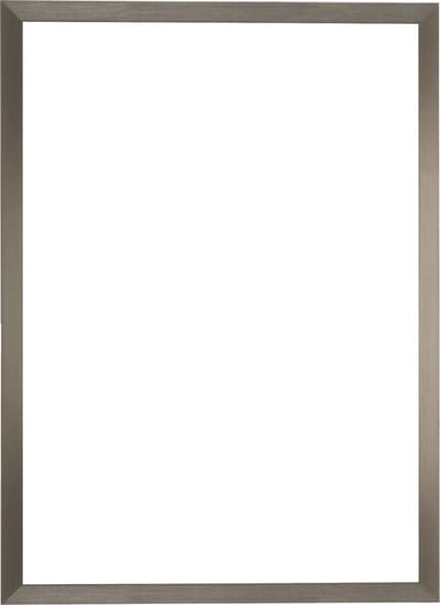 Deknudt Frames fotolijst voor canvas S46VD1 - zilverkleur - foto 20x30