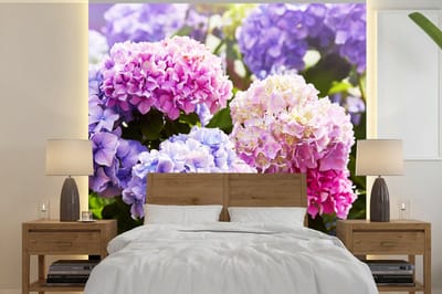 Behang - Fotobehang Bloemen - Hortensia - Roze - Bladeren - Zon - Breedte 220 cm x hoogte 220 cm
