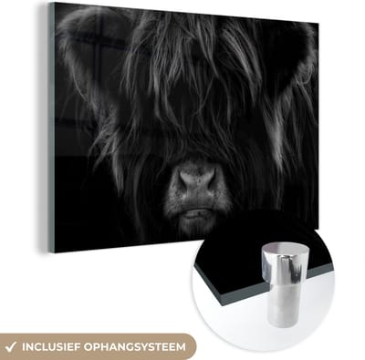 MuchoWow® Glasschilderij 120x80 cm - Schilderij acrylglas - Schotse Hooglander - Koe - Portret - Dieren - Zwart - Wit - Foto op glas - Schilderijen