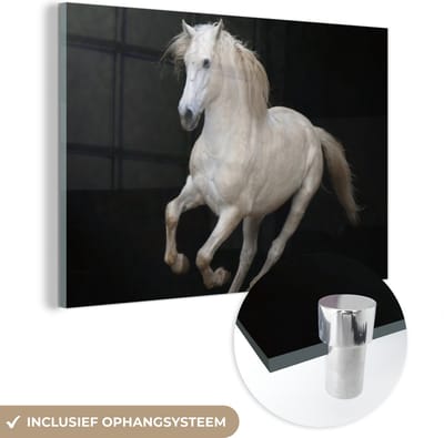 MuchoWow® Glasschilderij 120x80 cm - Schilderij acrylglas - Paarden - Zwart - Portret - Foto op glas - Schilderijen