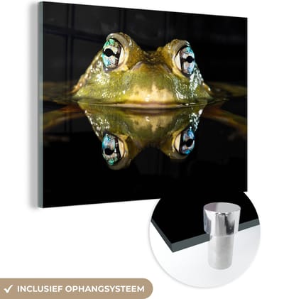 MuchoWow® Glasschilderij 160x120 cm - Schilderij acrylglas - Kikker - Ogen - Portret - Foto op glas - Schilderijen