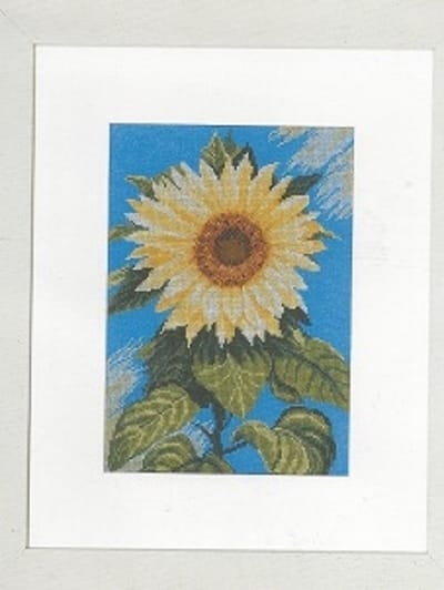 Lanarte Sunflower on blue