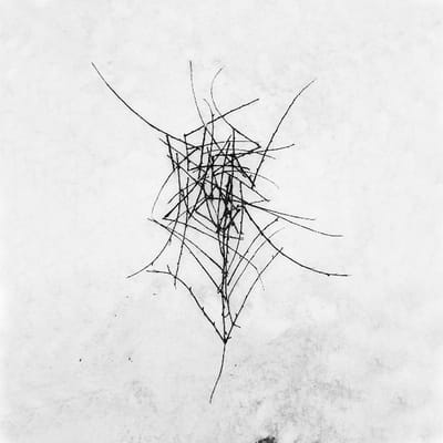 Dead Raven Choir - Schmerzensgewalt (CD)
