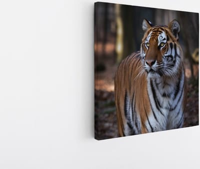 Saammp Canvas Schilderij - Tijger in het bos - Natuur - Dieren - 20x20 - Foto op canvas - Wanddecoratie - muurdecoratie Woonkamer - Slaapkamer decoratie - Canvas Print