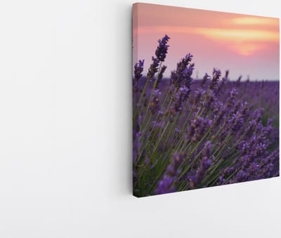 Saammp Canvas Schilderij - Lavendel tijdens zonsondergang - Natuur - Landschap - 20x20 - Foto op canvas - Wanddecoratie - Muurdecoratie Woonkamer - Slaapkamer decoratie - Canvas Print